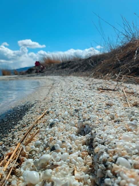 Shell beach Turtle head and Kok-Moinok canyons - An Introduction to the Kyrgyz Landscape
