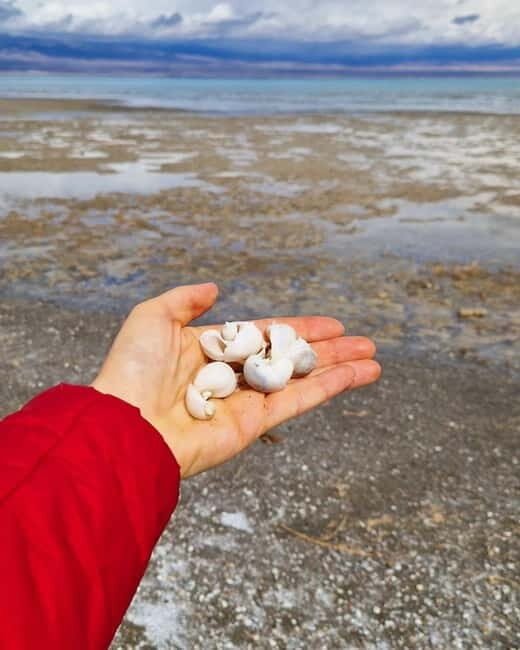 Shell beach Turtle head and Kok-Moinok canyons - Shell Beach: A Surreal Scene