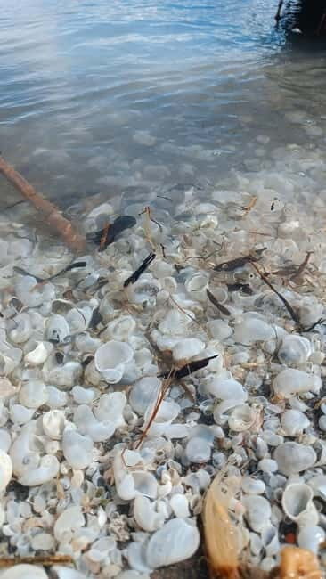 Shell beach Turtle head and Kok-Moinok canyons - What to Expect: Practical Details