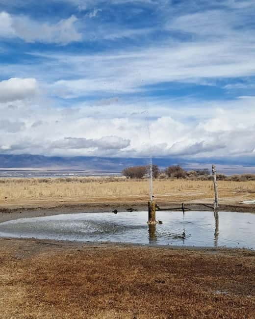 Shell beach Turtle head and Kok-Moinok canyons - The Value of the Experience