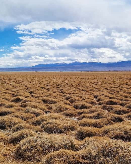 Shell beach Turtle head and Kok-Moinok canyons - The Sum Up