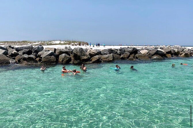 Shell Island Dolphin and Snorkel Boat Tour - Key Points