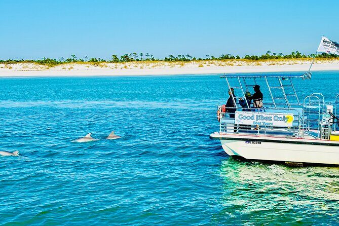 Shell Island Dolphin Sightseeing Boat Tour in Panama City Beach - Key Points