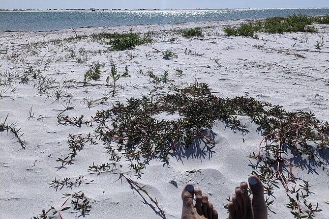 Shell Key Ferry from Ft. DeSoto Boat Ramp in Tierra Verde, FL - Final Thoughts