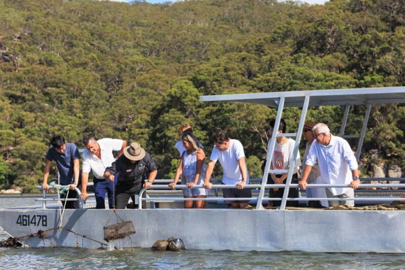 Shell to Showroom - Sydney's only Pearl Farm Experience - Who Will Enjoy This Tour?