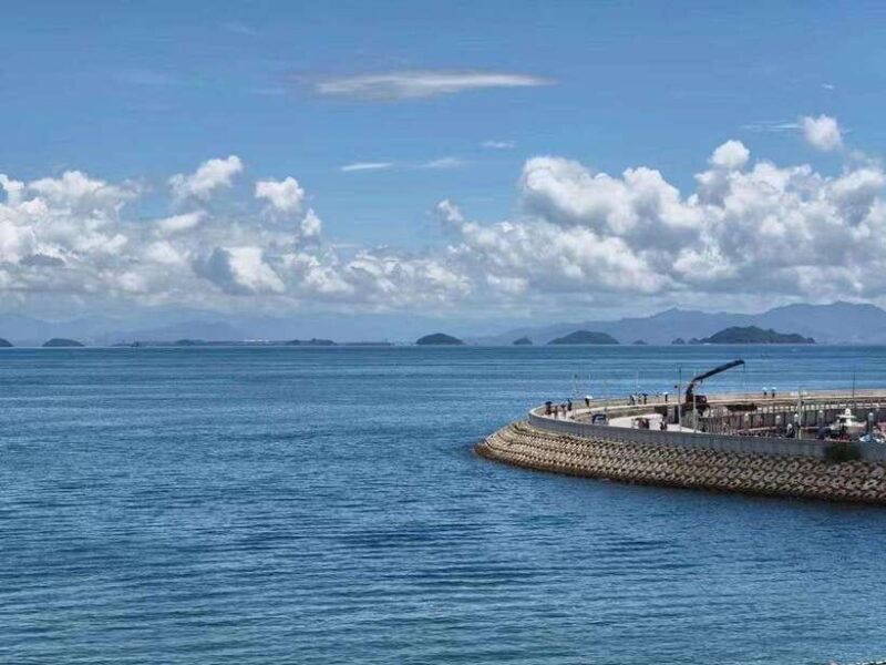 Shenzhen: Dapeng Peninsula Day Tour with Hotel Pickup - An In-Depth Look at the Dapeng Peninsula Day Tour