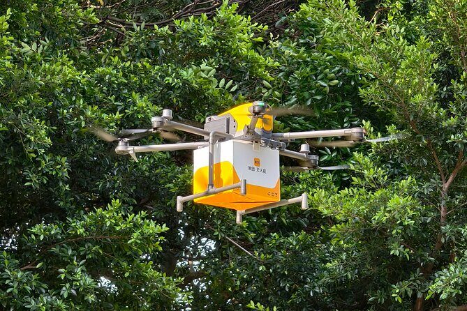 Shenzhen Private Tour: Discover Tech Wonders - Why This Tour Works for Travelers