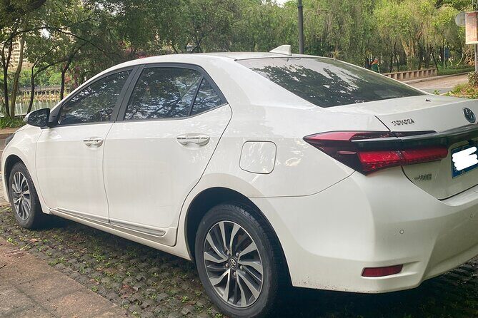 Shenzhen Private Transfer and Ongoing Travel Assistance - Final Thoughts