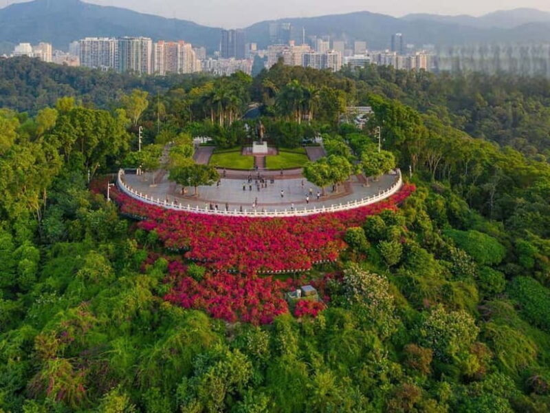 Shenzhen8h City Walk & Future Experience Highlights Trip - FAQ