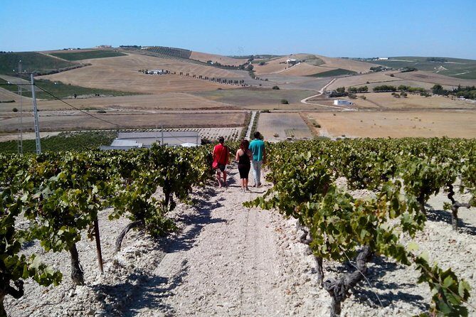 Sherry Experience in the Vineyard - Exploring Cádiz’s Sherry Landscape