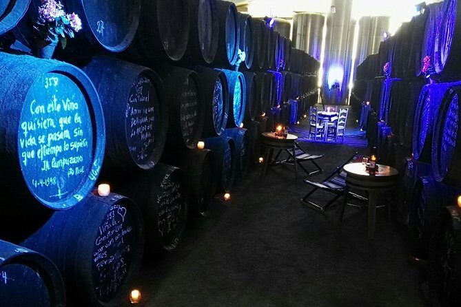 Sherry Experience in the Vineyard - The Authenticity and Atmosphere