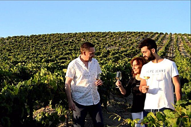 Sherry Experience in the Vineyard - Who Will Love This Tour?