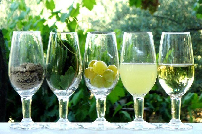 Sherry Experience in the Vineyard - FAQ