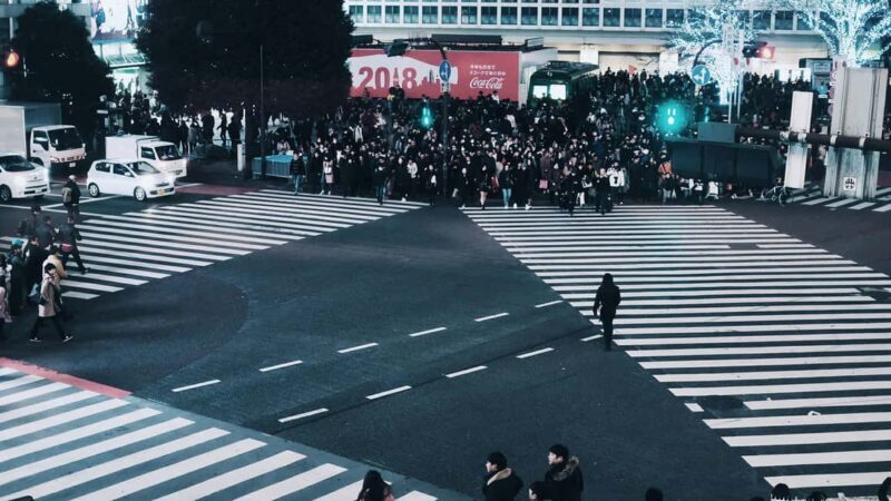 Shibuya: Crossing, Hachiko & Shibuya Sky Guided Tour - Why this tour could be perfect for you