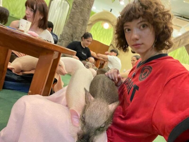 Shibuya & Harajuku: Spice it up your Tokyo tour - Exploring Tokyo’s Trendy Heart: Shibuya and Harajuku