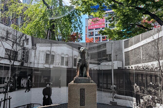 Shibuya Highlights Hachiko Scramble Meiji Jingu and Sky - Key Points