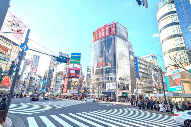 Shibuya Highlights Hachiko Scramble Meiji Jingu and Sky - Discovering Shibuya: A 3-Hour Journey through Tokyo’s Most Famous Spots