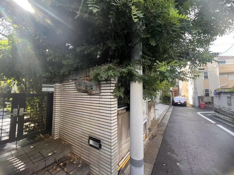 Shibuya: Private Tea Ceremony with a Master in a Local Home - Who will enjoy this experience most