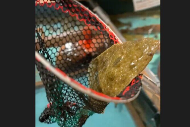 Shibuya Shopping and Izakaya Tour - Key Points