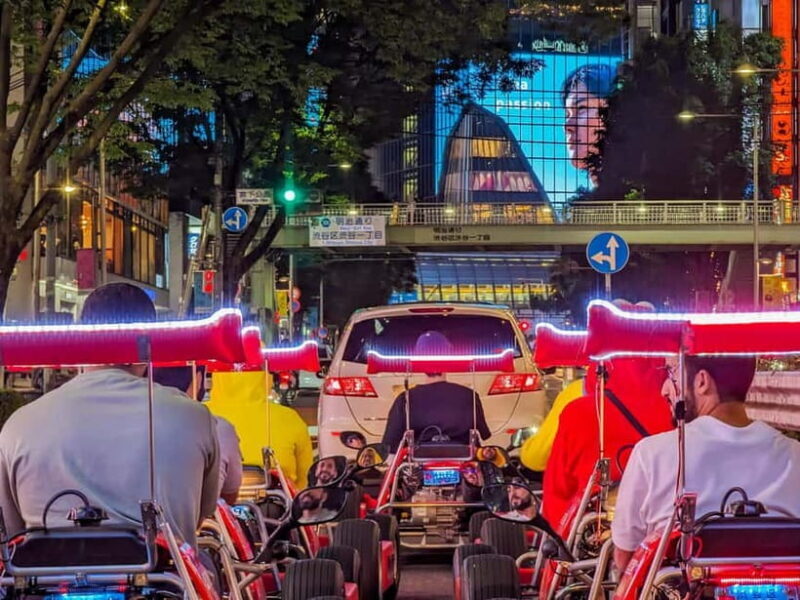 Shibuya#2 Go Karting Tour with Funny Costume - What We Love