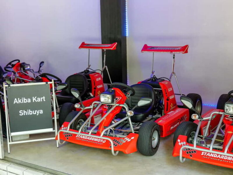 Shibuya#2 Go Karting Tour with Funny Costume - The Sum Up