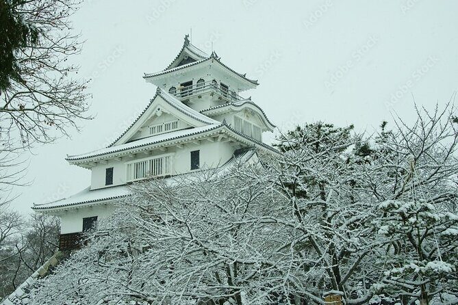 Shiga 1Day Bus Tour with Snow, Castle and Illumination from Kyoto - A Complete Breakdown of the Tour Experience