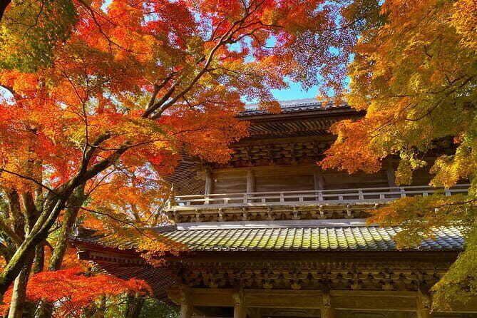 Shiga Autumn Experience Shopping and Ropeway Bus Tour from Kyoto - Exploring the Itinerary in Detail