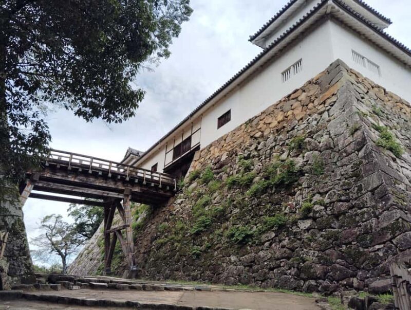 Shiga: Explore Hikone Castle and Savor Premium Omi Beef - Explore Hikone Castle and Savor Premium Omi Beef: A Balanced Look at a Delicious Cultural Tour