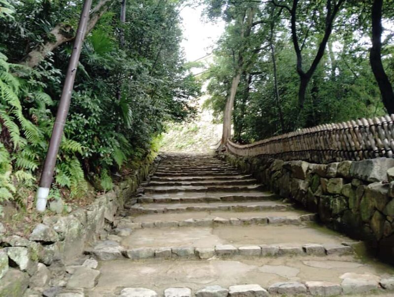 Shiga: Explore Hikone Castle and Savor Premium Omi Beef - Who Should Consider This Tour?