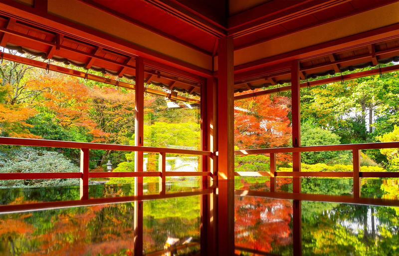Shiga In-depth Tour: Miho Museum, Old Bamboo Forest Garden or Hieisan Shrine, Lake Biwa Shirahige Shrine Water Torii Gate (Roundtrip from Osaka / Kyoto) - What makes this Shiga day trip worthwhile