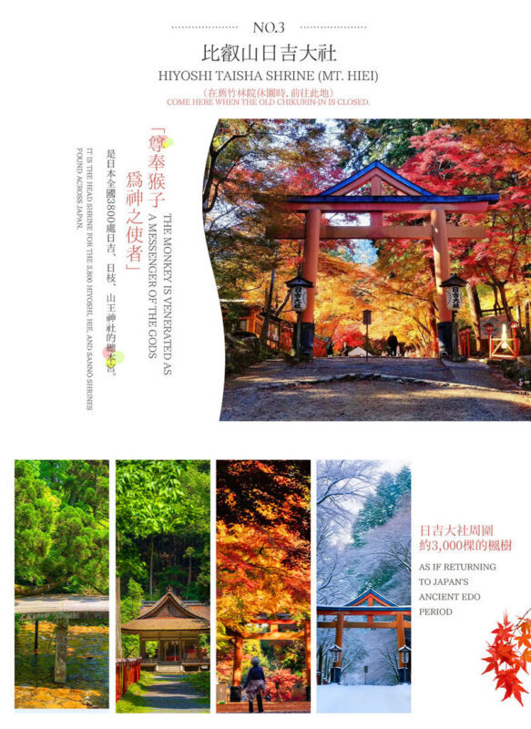 Shiga In-depth Tour: Miho Museum, Old Bamboo Forest Garden or Hieisan Shrine, Lake Biwa Shirahige Shrine Water Torii Gate (Roundtrip from Osaka / Kyoto) - Transport, guides, and the pace of the day
