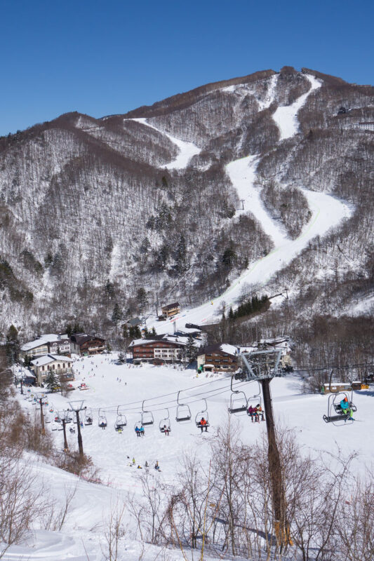 Shiga Kogen Ski & Snowboard Lesson - What the day’s timing means