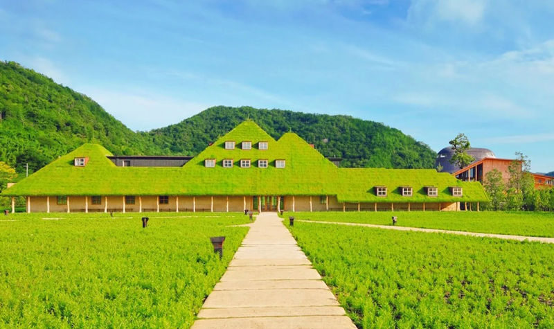 Shiga Lake Biwa Day Trip | Lake Biwa Observation Deck / Kyoto Sanzen-in Temple & Shirahige Shrine & La Collina Omihachiman - A full day built around Lake Biwa