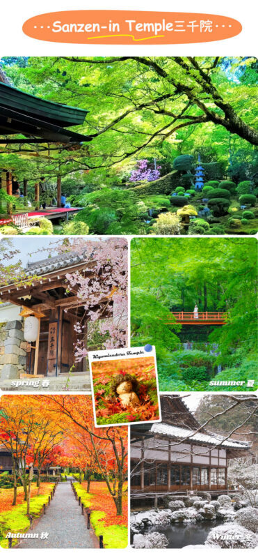 Shiga: Lake Biwa Shirahige Shrine and Observation Deck / Kyoto Arashiyama Sanzen-in Temple and Omihachiman One-Day Tour (Departing from Osaka/Kyoto) - Who should book this day trip?