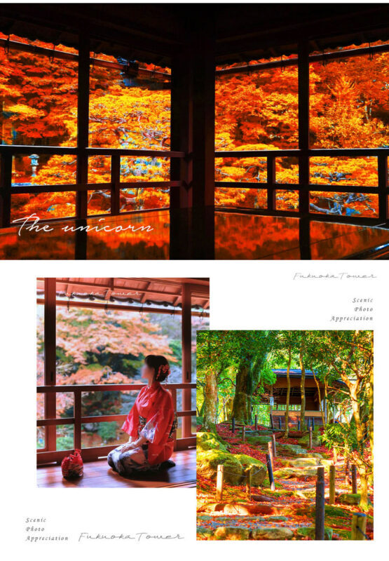 Shiga: Lake Biwa Shirahige Shrine & Miho Museum & Former Chikurin-in Temple Day Trip | Departing from Osaka/Kyoto - Prepare for an easier day