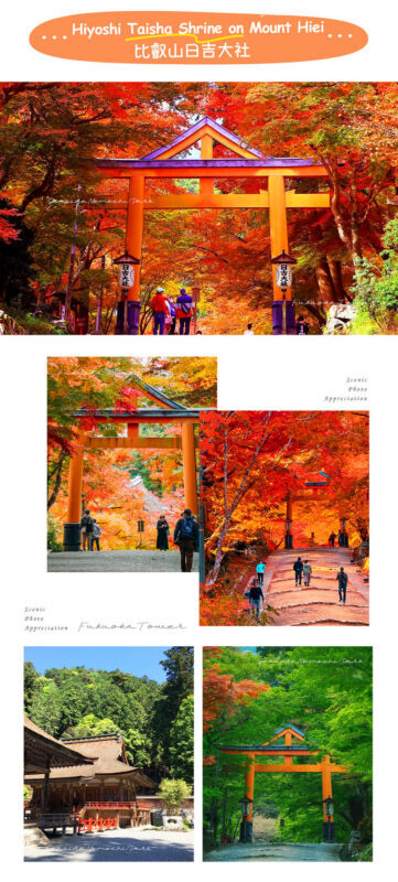 Shiga: Lake Biwa Shirahige Shrine & Miho Museum & Former Chikurin-in Temple Day Trip | Departing from Osaka/Kyoto - Is this the right Shiga day trip for you?