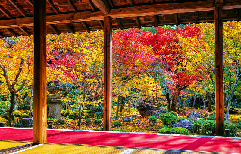 Shiga Mitsui Shiga Ryuo Outlet-Mentaiko Park-Lake Biwa Observation Deck/Arashiyama Sanzen-in - Should you book this Kansai day trip?
