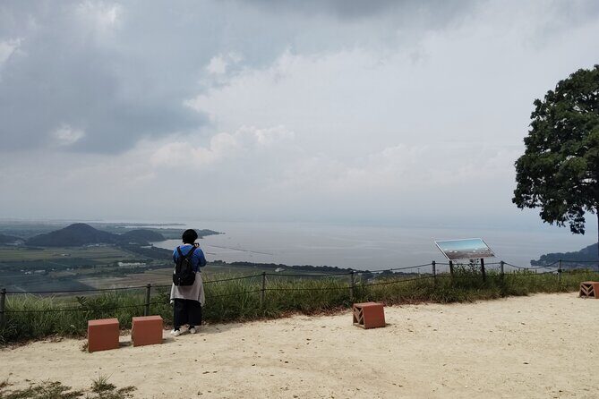 Shiga: Omi-Hachiman Heritage Tour with Optional Omi Beef - Key Points