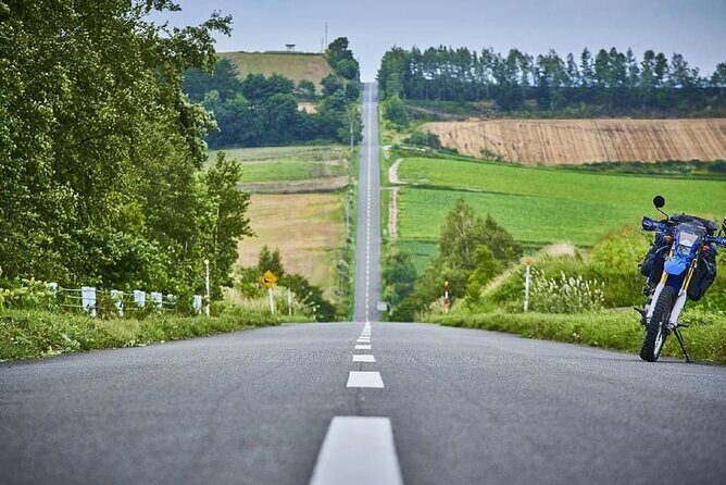 Shikisai-no-Oka Fairy Terrace Tour, optional lunch from Sapporo - Key Points