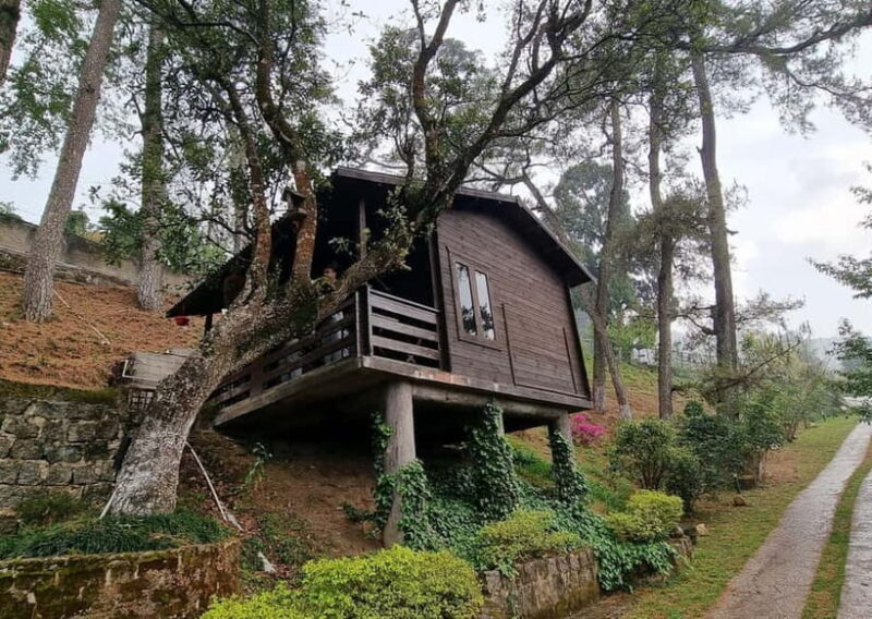 Shillong Green Trails: Guided Trekking Experience with local - An In-Depth Look at the Shillong Green Trails Experience