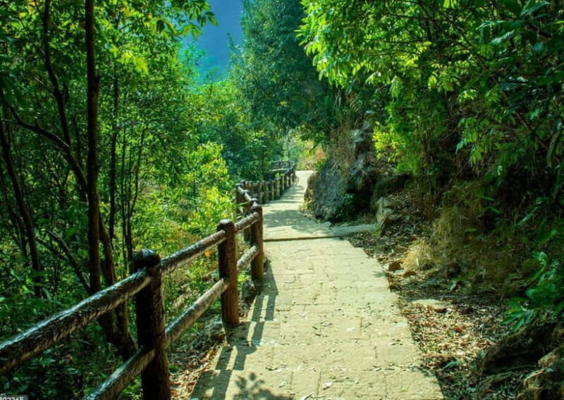 Shillong Green Trails: Guided Trekking Experience with local - Who Should Consider This Tour