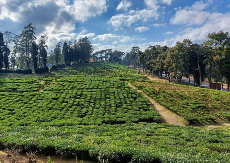 Shillong Green Trails: Guided Trekking Experience with local - FAQs