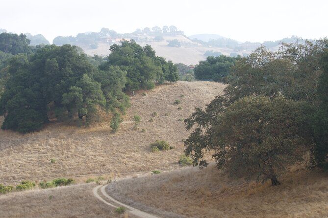 Shiloh Battlefield Self-Guided Driving Audio Tour - Final Thoughts on Value and Experience