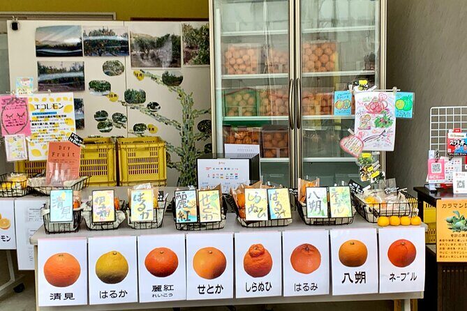 Shimanami Kaido, 1Day Relaxed Island Hopping Cycling Tour - Frequently Asked Questions