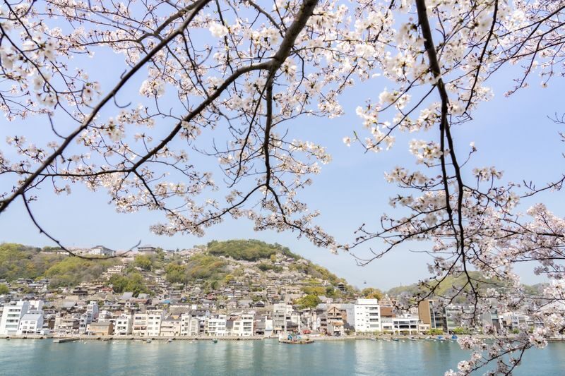 Shimanami Kaido Electric Bicycle 1-Day Tour (Departing from Onomichi) - Setting out from Onomichi