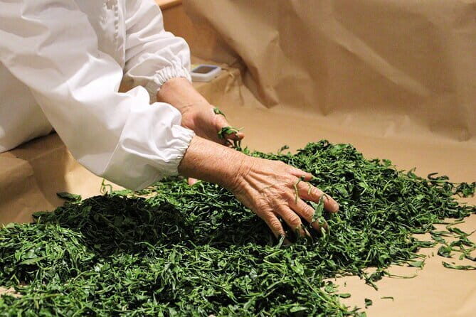 Shimizu Port to Mt. Fuji Guided Private Tour GREEN NUMBER PLATES - Practical Tips