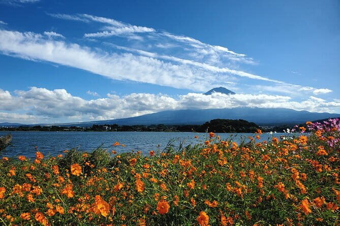 Shimizu Port to Mt. Fuji Guided Private Tour GREEN NUMBER PLATES - The Sum Up