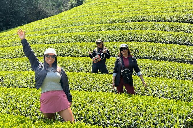 Shimizu Port to Mt. Fuji Guided Private Tour GREEN NUMBER PLATES - FAQ