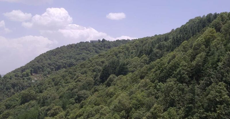 Shimla: Hiking Tour to Taradevi Hill with Local Driver Guide - Final Thoughts