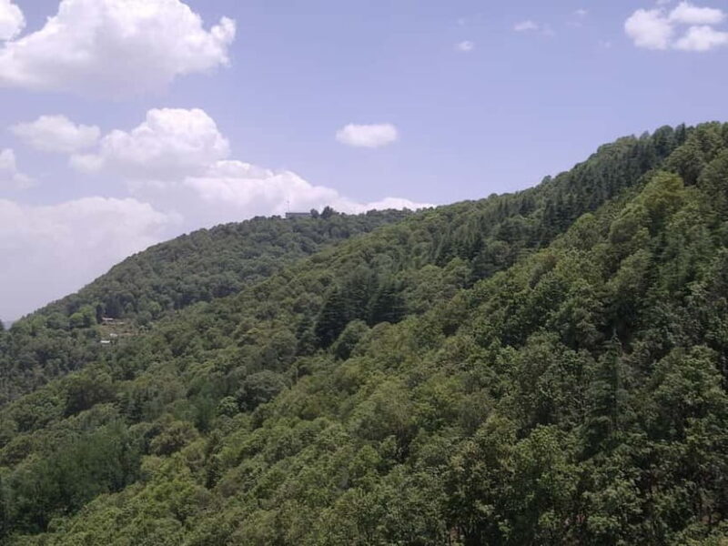 Shimla: Temples Tour with full day Local Driver Guide - An Honest Look at the Shimla Temples Tour